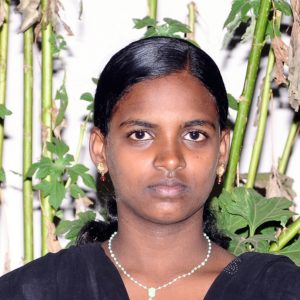 Dhana