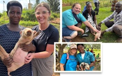 LIVESTOCK REPORT 2025: Each Animal Is an Incredible Blessing!