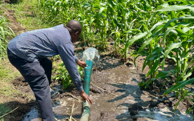 Thank you for providing innovative strategies to stop famine and poverty!