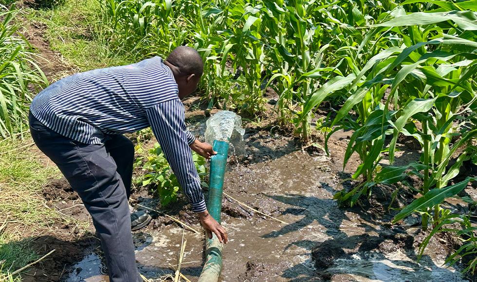 Thank you for providing innovative strategies to stop famine and poverty!