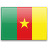 Cameroon Flag